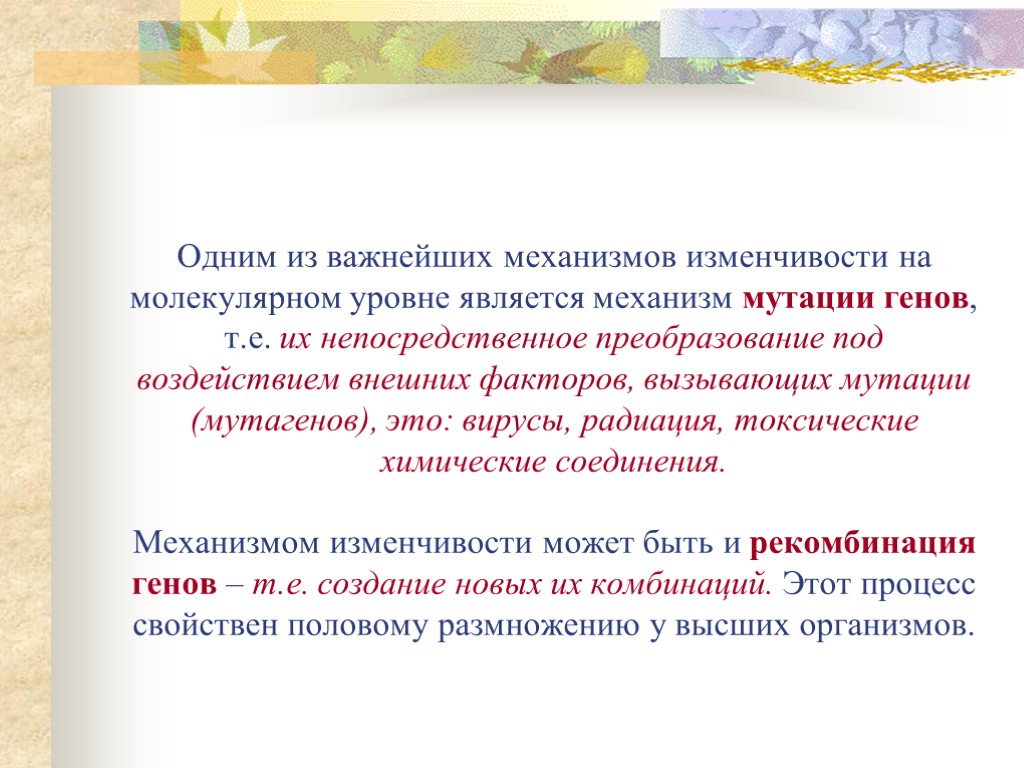 Одним из важнейших механизмов изменчивости на молекулярном уровне является механизм мутации генов, т.е. их